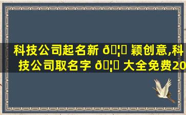 科技公司起名新 🦈 颖创意,科技公司取名字 🦅 大全免费2020